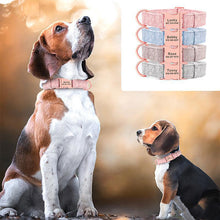 Pet Dog Collar Engraving Anti-Lost Collar
