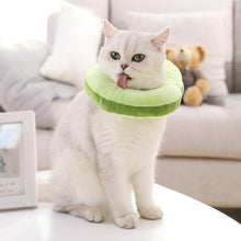 Kitty Toast Headgear Pet Headdress Accessories Funny