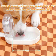 Water Food Container