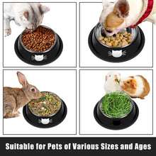 Pet Bowls