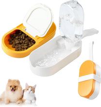 Water Food Container