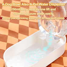 Water Food Container