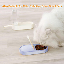 Water Food Container