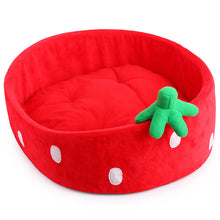 Dog Cat Mattress