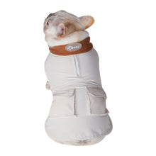 Dog Jacket