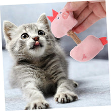 Cat Teeth Cleaning Toys