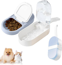 Water Food Container
