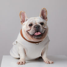 Dog Jacket