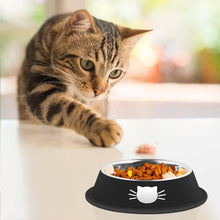 Pet Bowls