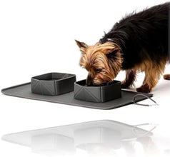Generic Portable Pet